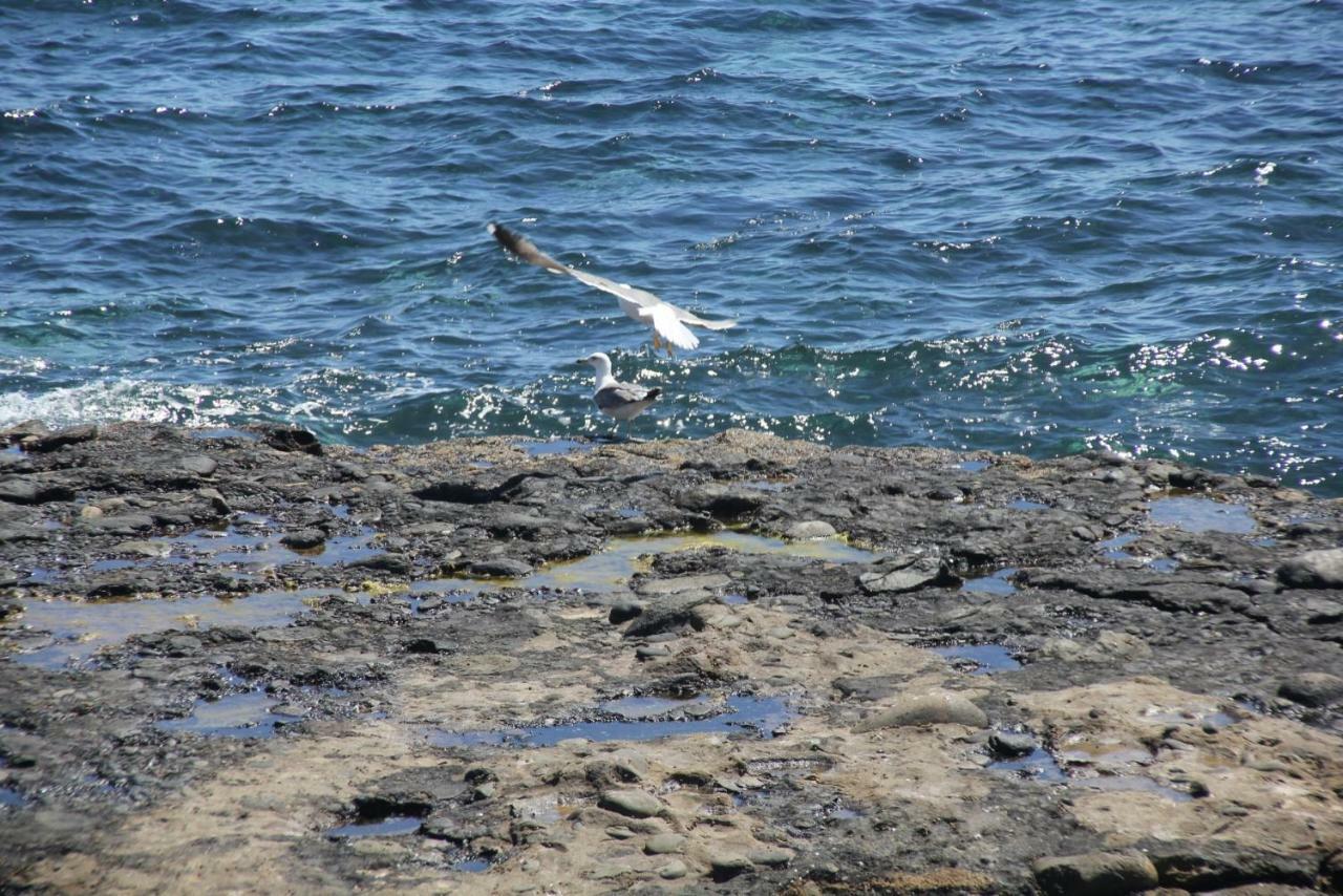 Pozo Izquierdo Seagull Estudios מראה חיצוני תמונה